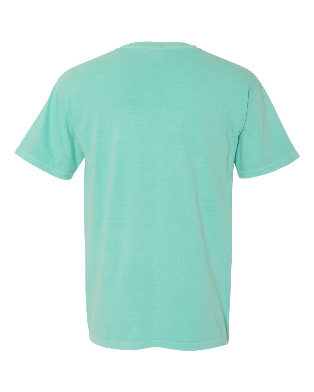 Comfort Colors Garment-Dyed Heavyweight T-Shirt - 1717