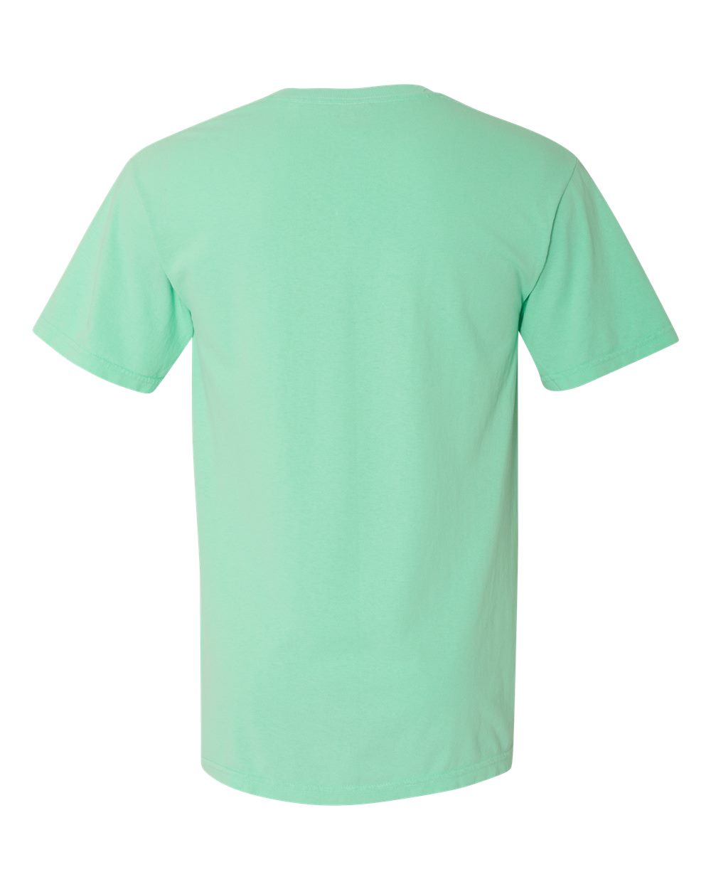 Comfort Colors Garment-Dyed Heavyweight T-Shirt - 1717