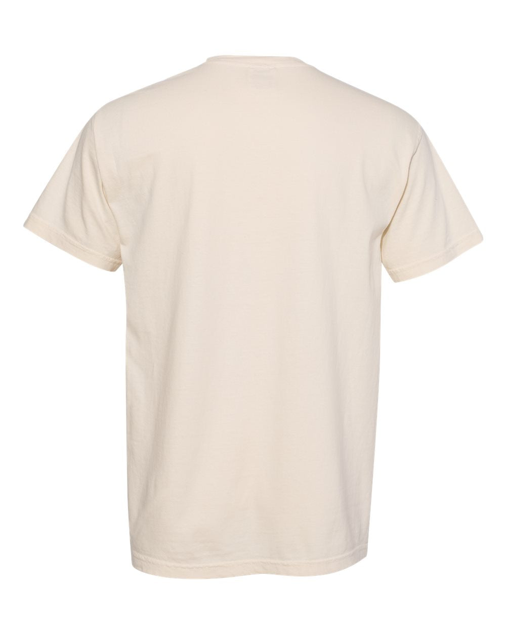 Comfort Colors 1717 T-Shirt Package (100 Pieces)