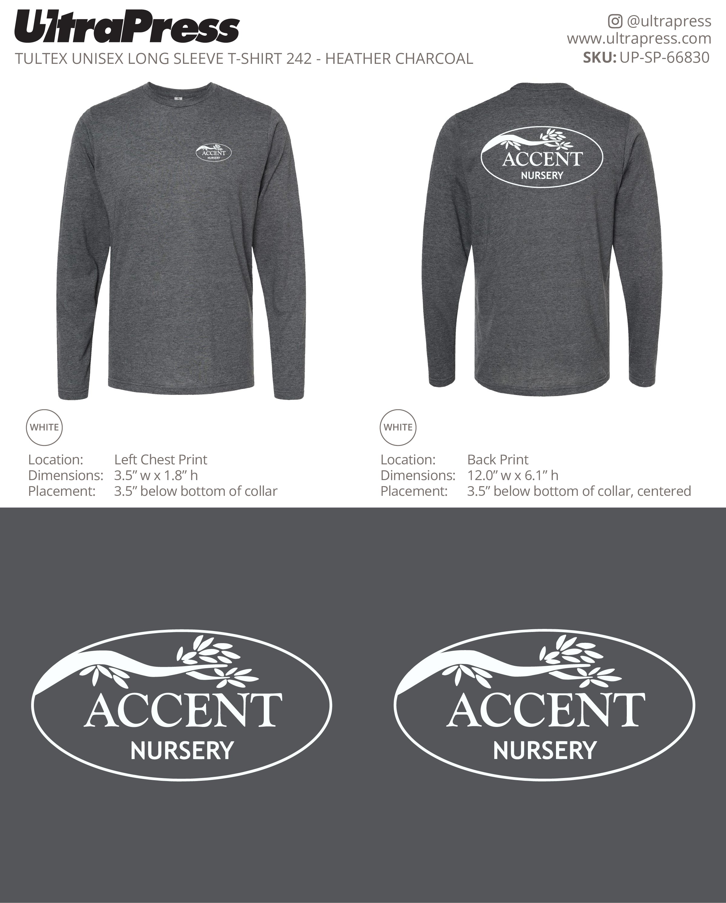 UP-SP-66830 Accent Nursery - Joey Hollis 24 Min Qty (Bulk)