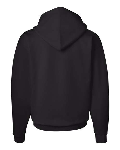 Ecosmart® Hooded Sweatshirt - P170