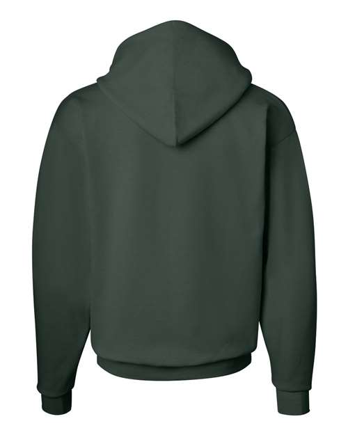 Ecosmart® Hooded Sweatshirt - P170