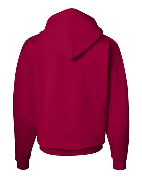 Ecosmart® Hooded Sweatshirt - P170