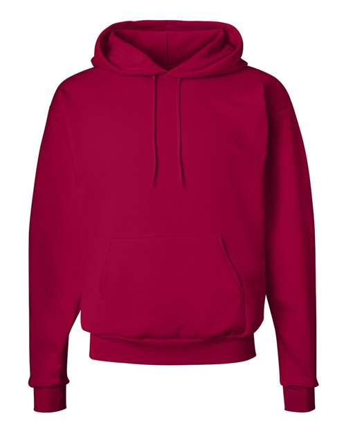 Ecosmart® Hooded Sweatshirt - P170