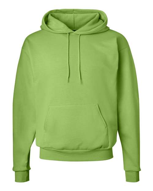 Ecosmart® Hooded Sweatshirt - P170