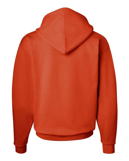 Ecosmart® Hooded Sweatshirt - P170