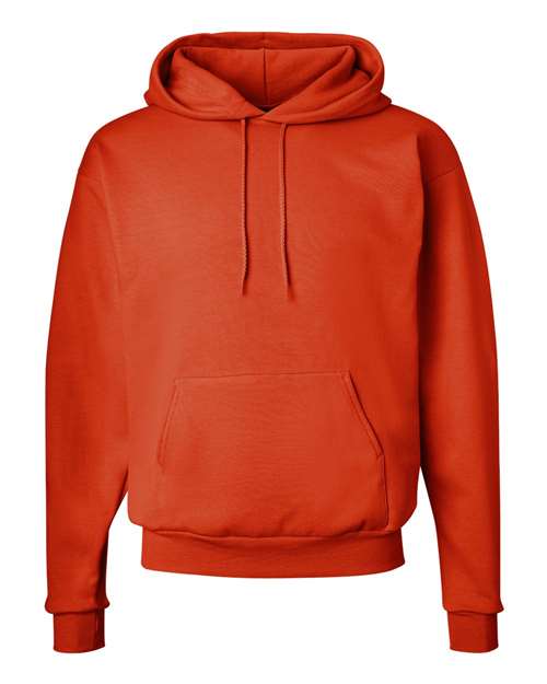 Ecosmart® Hooded Sweatshirt - P170