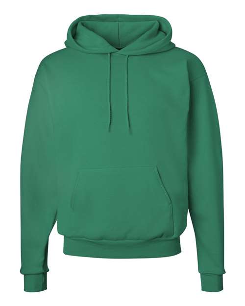 Ecosmart® Hooded Sweatshirt - P170