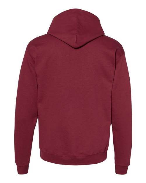 Ecosmart® Hooded Sweatshirt - P170