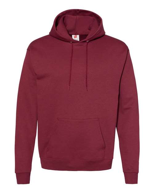 Ecosmart® Hooded Sweatshirt - P170