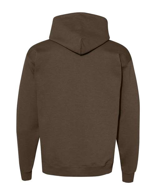Ecosmart® Hooded Sweatshirt - P170